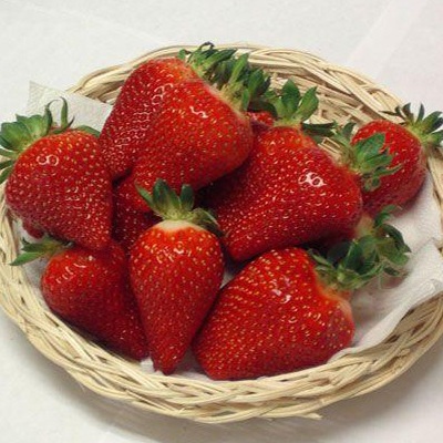 Земляника садовая Азия
